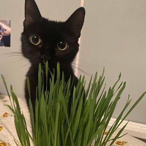 Meet your Posher, Melanie